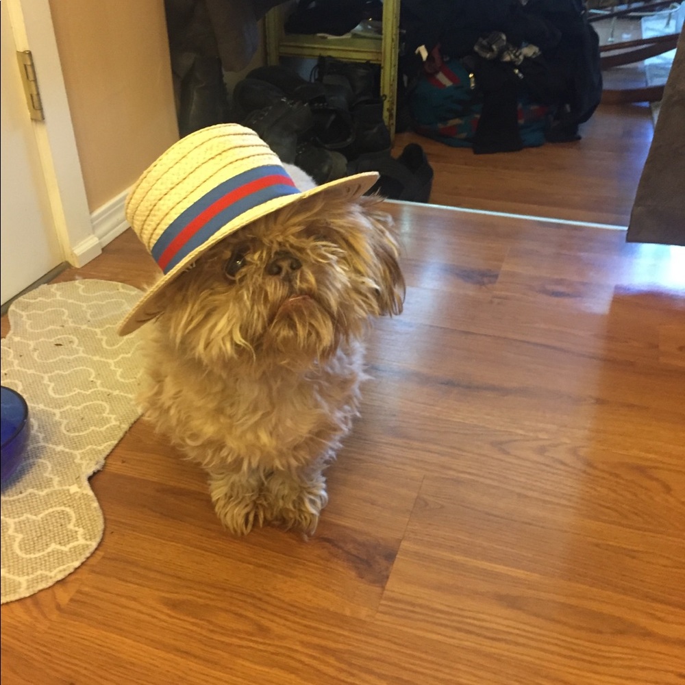 Meet your Posher, Lisa